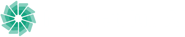 MagnetHub logo